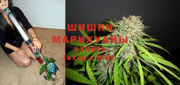 стафф Абаза