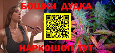 шишки Канаш