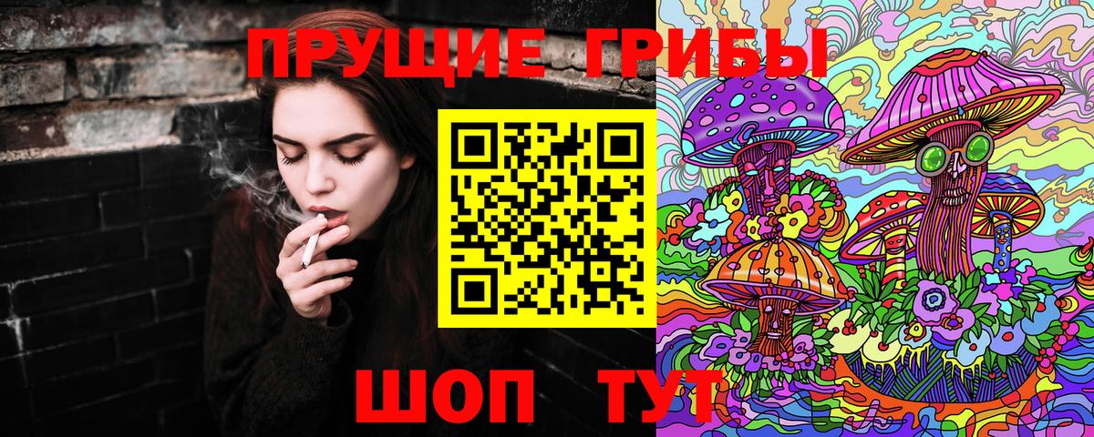 Псилоцибиновые грибы Cubensis Курчатов