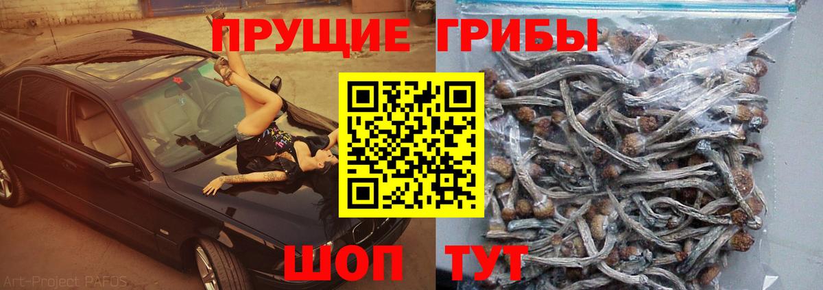 Галлюциногенные грибы прущие грибы  Галлюциногенные грибы Psilocybine cubensis  где можно купить наркотик  Вход с VPN  Курчатов 