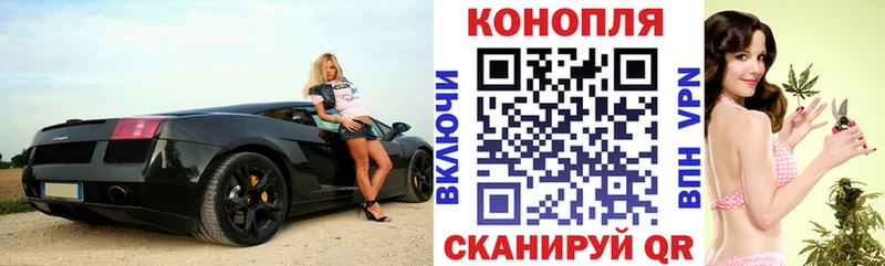 мега tor  Курчатов  Бошки Шишки план 